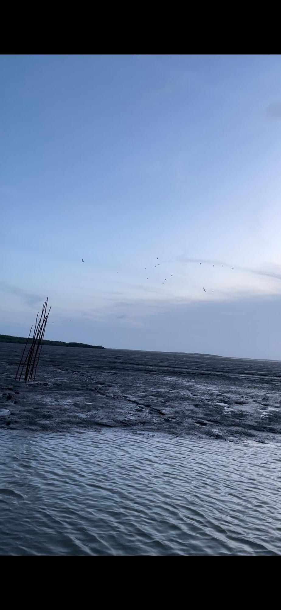 招待所 Chale Murici Lencois Santo Amaro do Maranhao